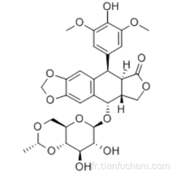 Etoposide CAS 33419-42-0